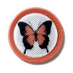 CIR03104A1