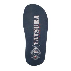 PLTASC245P02