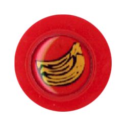GT0115R1