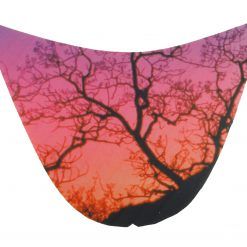 PALSS0011