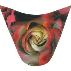 PALSS0010