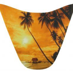 PALSS0006