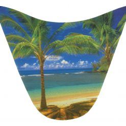 PALSS0005