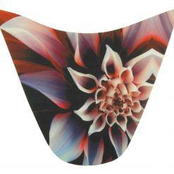 PALSS0004