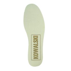 SERPLT020081A01