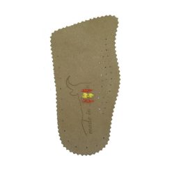 TIGR030075001A1
