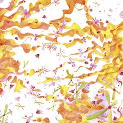 ETSD0289A1