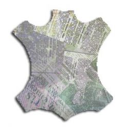 TRPD0247P04