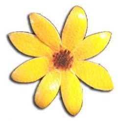 008743ACHAR