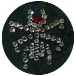 FA0153BRS6