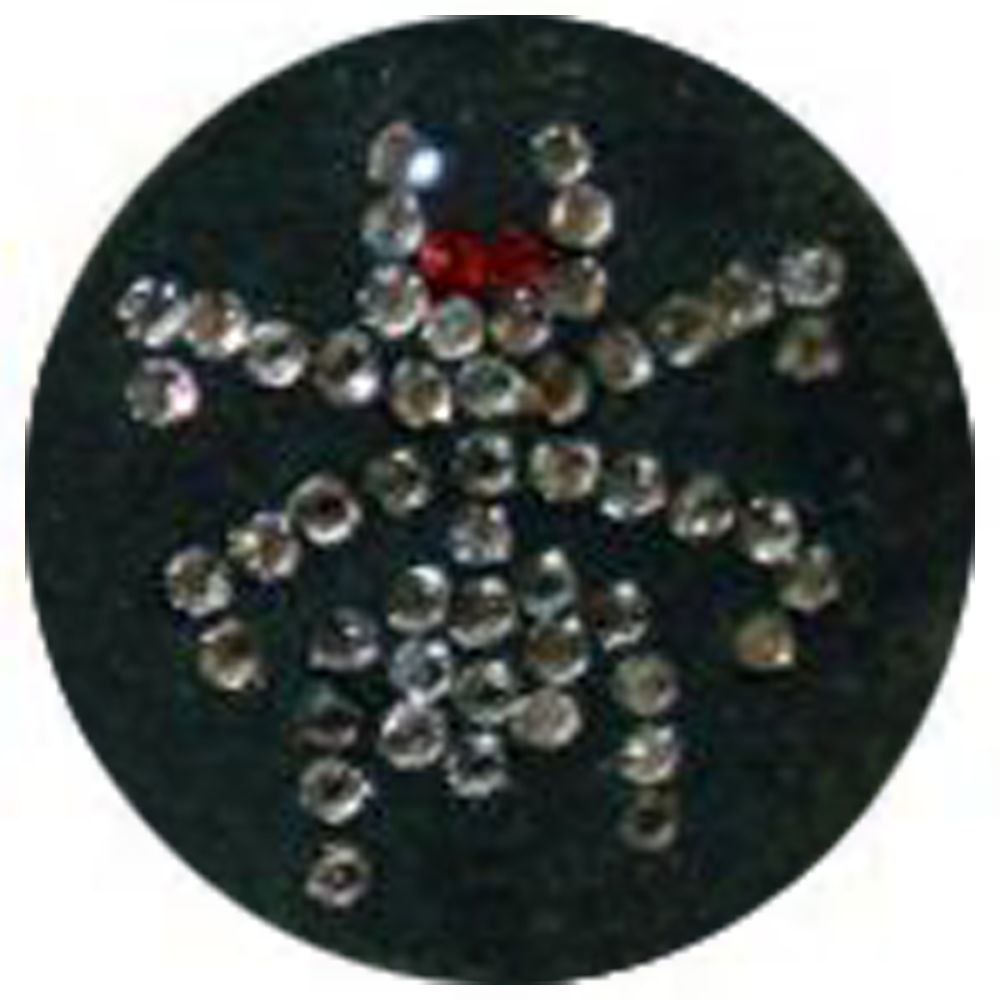 FA0153BRS6