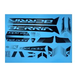 BERR041P